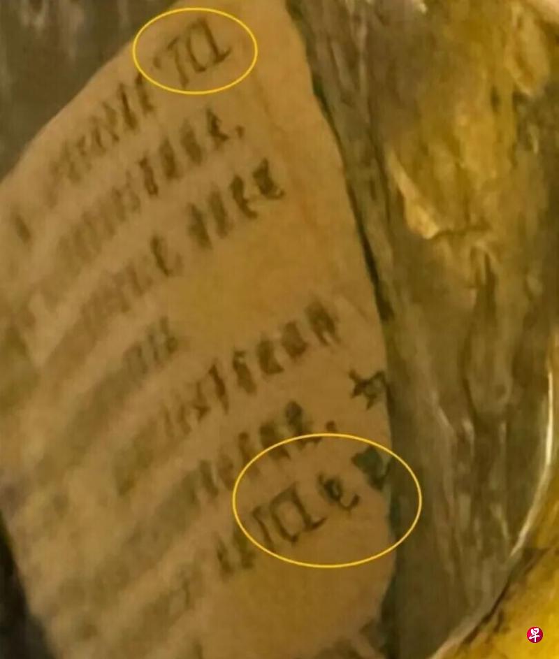 旺财28登录入口